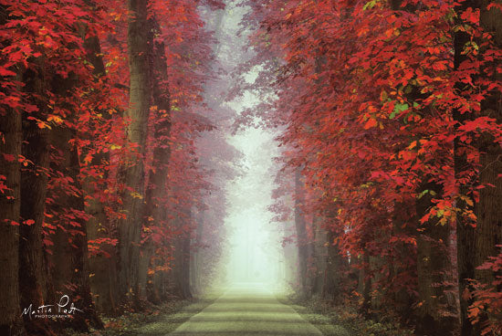Martin Podt MPP464 - In Love with Red Trees, Red Leaves, Autumn, Path, Sunlight from Penny Lane