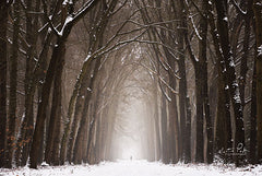 MPP544 - Lochem in Winter - 18x12