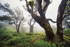 MPP572 - Perfect Quietness - 18x12