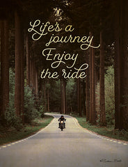 SB701 - Life's a Journey - 12x16
