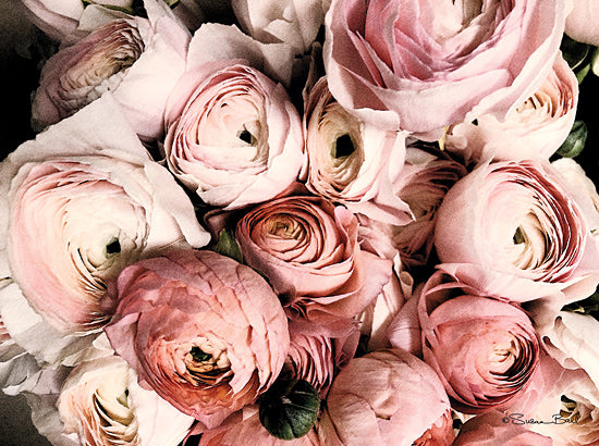 Susan Ball SB748 - SB748 - Coral Ranunculus - 16x12 Ranunculus, Photography, Flowers from Penny Lane